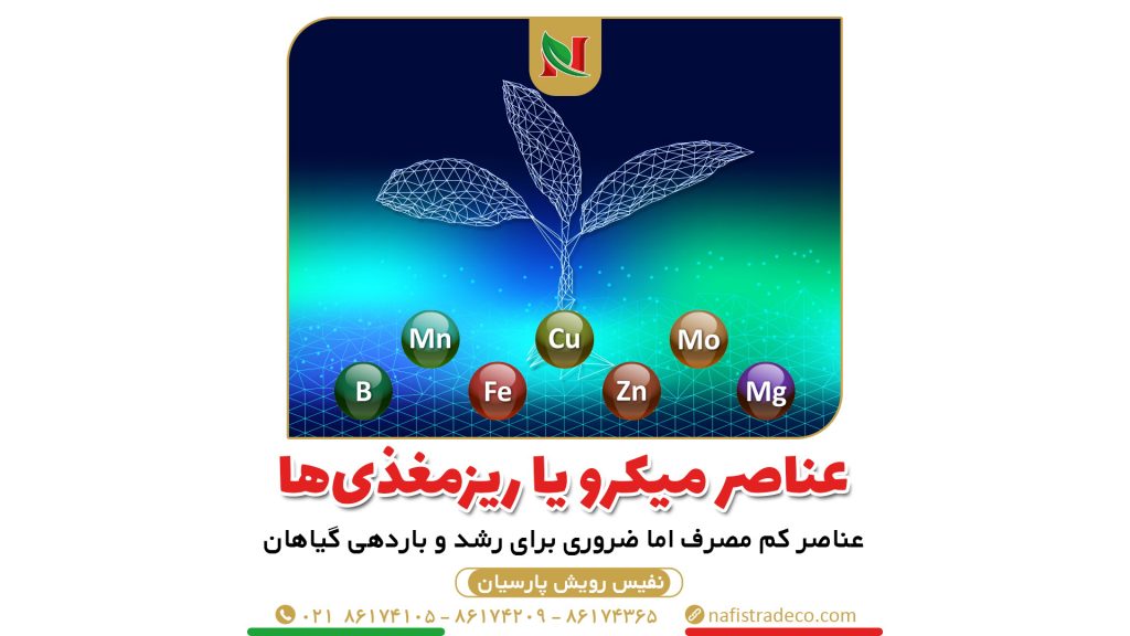 عناصر میکرو یا ریزمغذی‌ها کدامند؟